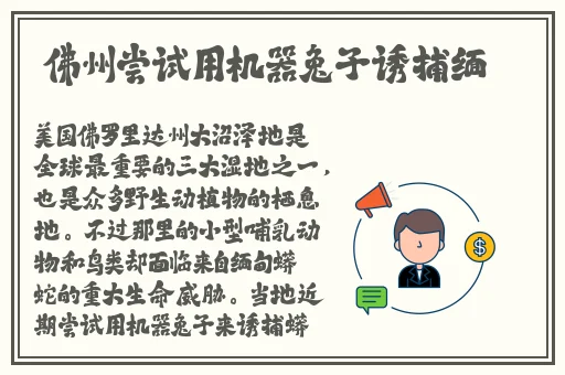 在线观看的a站